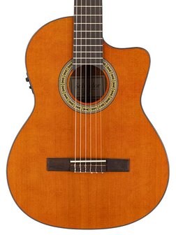 Salvador Student Series Nova CCE classic guitar cedar + sapele