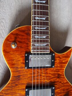 Bach Les Paul-model Dark Y met quilted maple Canada top