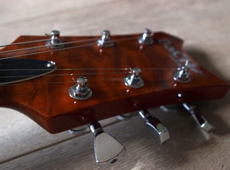 Bach Les Paul-model Dark Y met quilted maple Canada top