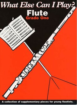 What else can i play? Flute Grade I