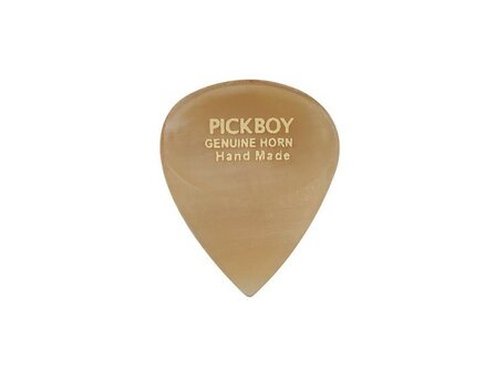 Exotic Horn Pick / plectrum