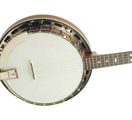 Recording King Madison Banjo RK-R25-BR, 5-snarige banjo