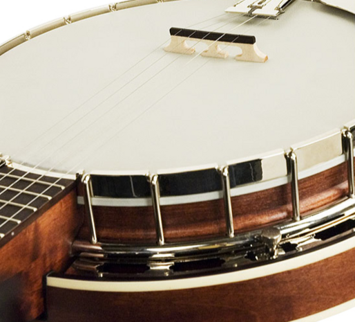 Recording King Madison Banjo RK-R25-BR, 5-snarige banjo