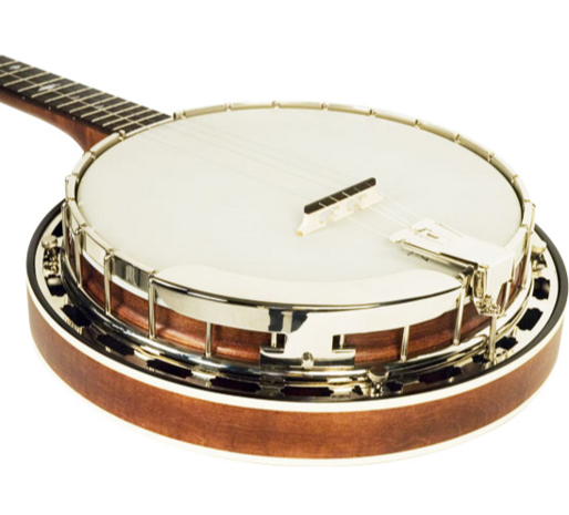 Recording King Madison Banjo RK-R25-BR, 5-snarige banjo