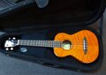 La-Sevillana-electro-akoestische-Tenor-Ukulele-Flamed-Maple-met-koffer